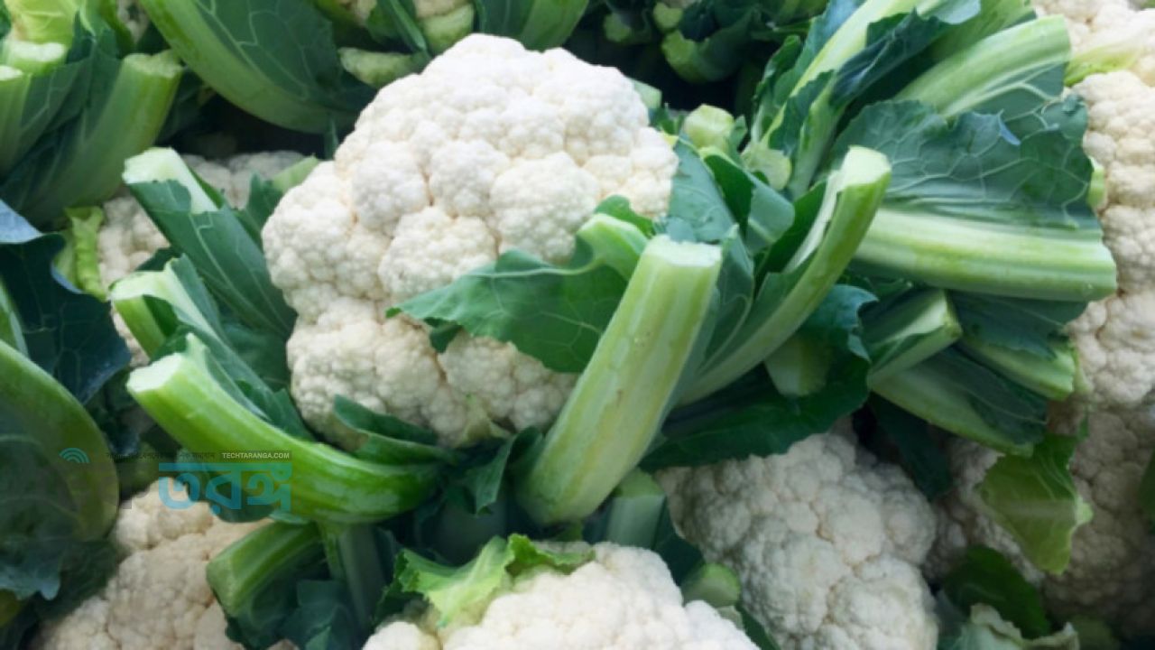 ফুলকপি খেলে কি সত্যিই গ্যাস হয়?