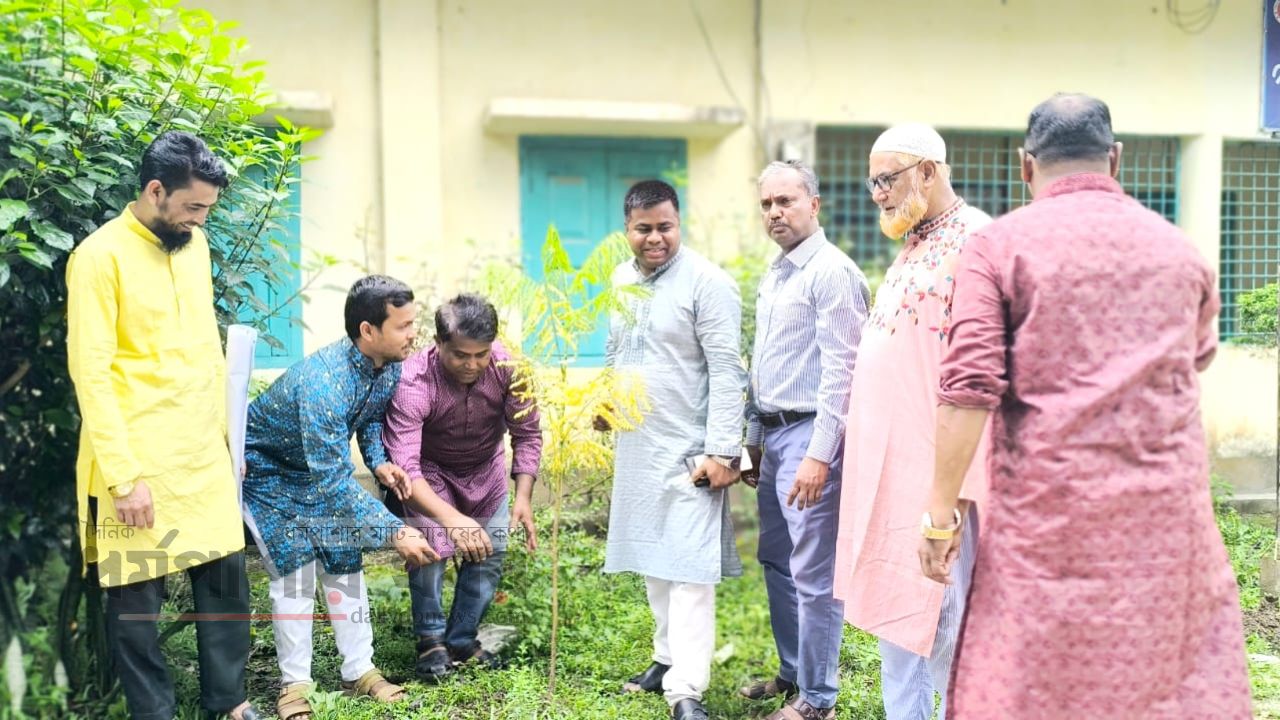 প্রবাসীদের টাকায় সবুজ হচ্ছে গ্রাম, ধর্মপাশায় প্রবাসী কল্যাণ সমিতির বৃক্ষরোপণ কর্মসূচি 