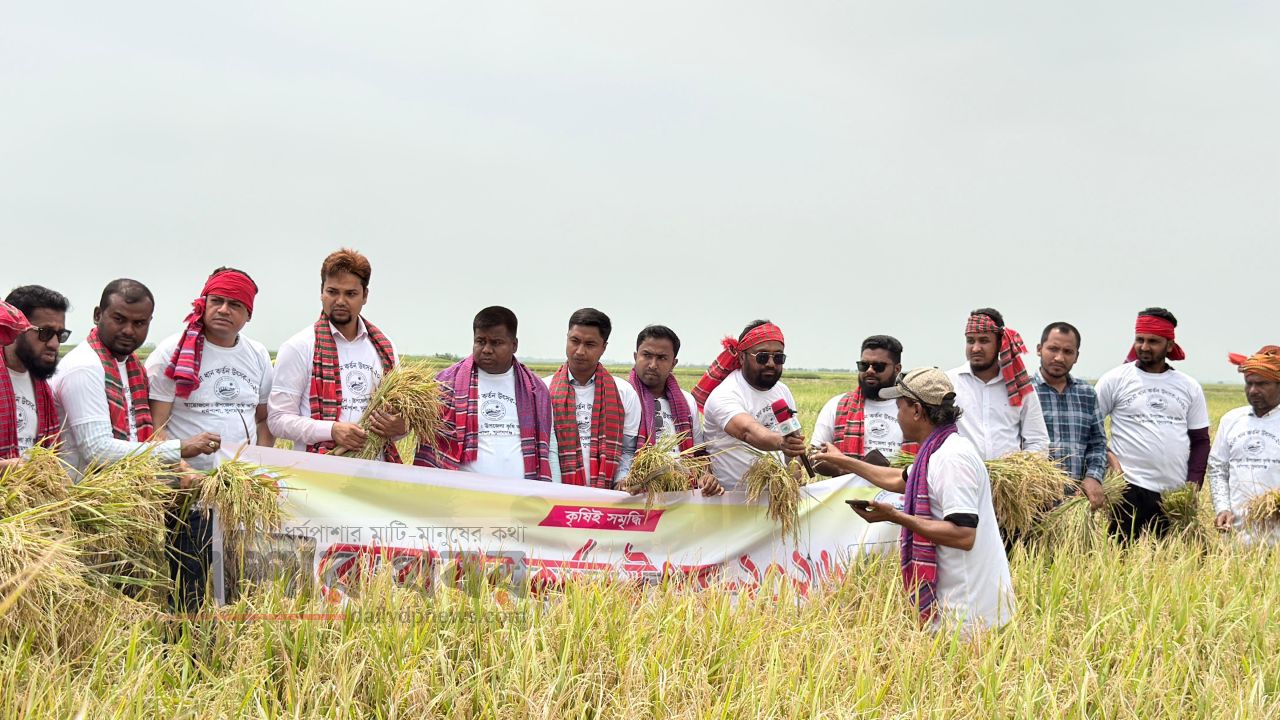 ধর্মপাশায় আনুষ্ঠানিকভাবে হাওরের বোরো ধান কর্তন শুরু