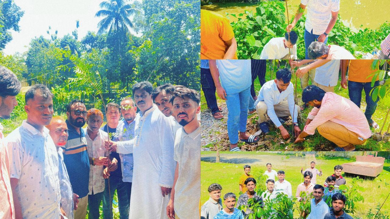 ধর্মপাশায় ছাত্রদলের বৃক্ষরোপণ কর্মসূচি,বিভিন্ন স্থানে বনজ ও ঔষধি বৃক্ষ রোপণ